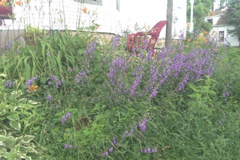 This 120 year old manor home has be — photo 3