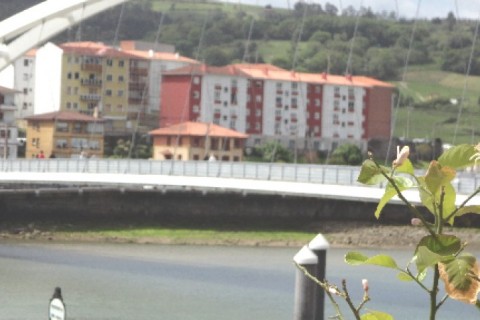 Bizileku bat Plentzian / A dwelling in Plentzia — photo 10