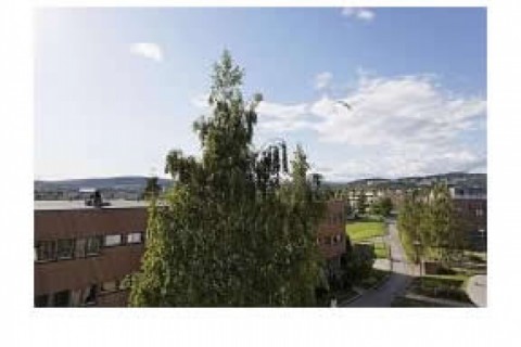 Appt avec deux terrasses à Oslo — photo 8