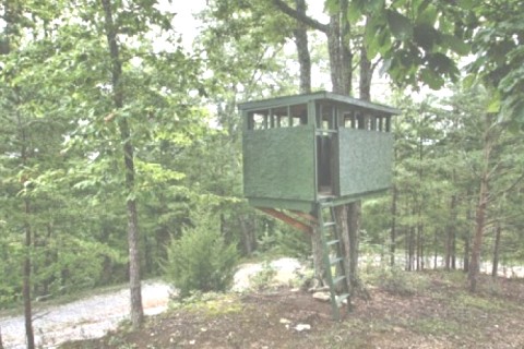 This secluded log cabin sits on top... — photo 14