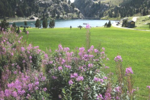 Casa soleada en Vall de Núria con magníficas vistas y jardín — photo 10