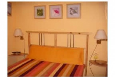 Appartements aux pieds des Pyrénées espagnoles — photo 13