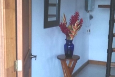 Chalet de madera natural con piscina, jacuzzi y amplios jardines. — photo 9