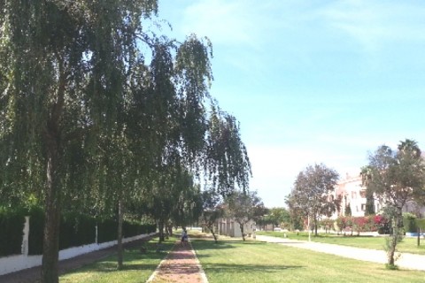 Playa y Golf en Cadiz (Costa Ballena, Rota) — photo 16
