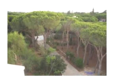CHICLANA.PINAR.APARTAMENTO  ALTO.EXCELENTES VI... — photo 3