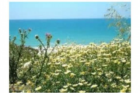 BARROSA. CHICLANA. Apartamento en paseo maritimo de la... — photo 12