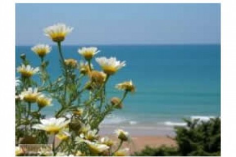 BARROSA. CHICLANA. Apartamento en paseo maritimo de la... — photo 16