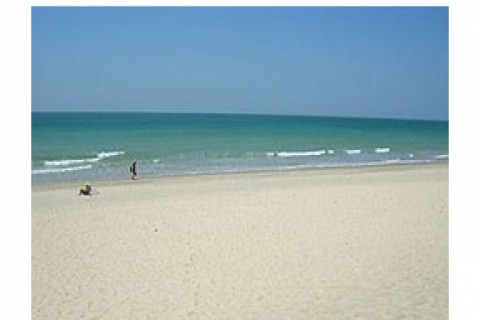 BARROSA. CHICLANA. Apartamento en paseo maritimo de la... — photo 17