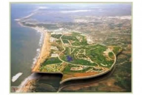 BARROSA. CHICLANA. Apartamento en paseo maritimo de la... — photo 18