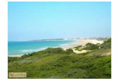 BARROSA. CHICLANA. Apartamento en paseo maritimo de la... — photo 20