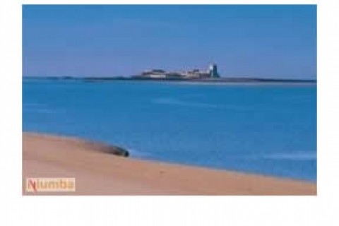 BARROSA. CHICLANA. Apartamento en paseo maritimo de la... — photo 21