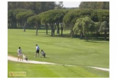 BARROSA. CHICLANA. Apartamento en paseo maritimo de la... — photo 23
