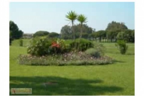 BARROSA. CHICLANA. Apartamento en paseo maritimo de la... — photo 24