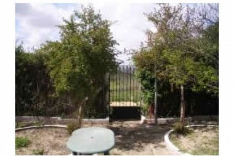 SEVILLA.TRES HABITACIONES, SALON ,COCINA ,B... — photo 2