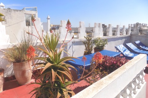 Belle maison idéalement située dans la medina, proche plage et port — photo 5
