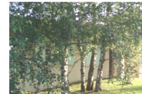 Agréable maison dans le sud de la ... — photo 3