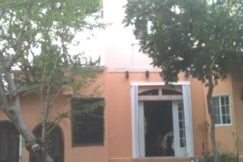 Nice, tropical with a garden, paint... — photo 2