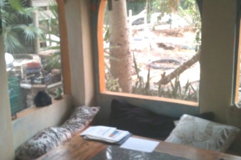 Nice, tropical with a garden, paint... — photo 4