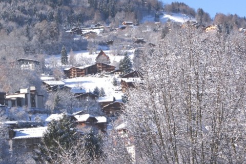 Bel appartement au coeur d'un vieux village montagnard (entre Chamonix et Megève) — photo 2