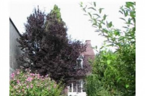 C'est une maison de type flamande.... — photo 2