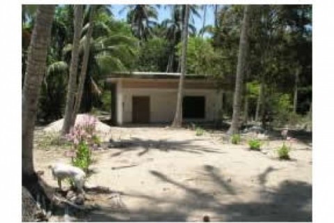 El lugar es una plantación de coco... — photo 2