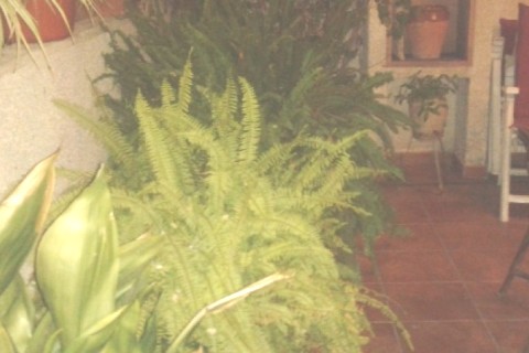 Duplex Mar Menor — photo 2