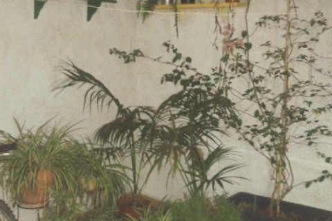 Duplex Mar Menor — photo 21