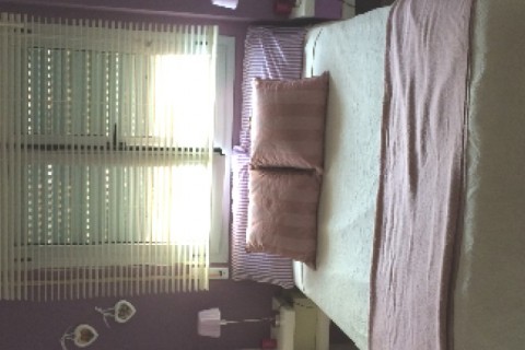 Apartamento planta baja. 2 dormitor... — photo 12