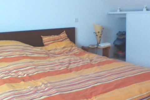 Charmante maison nantaise... — photo 19
