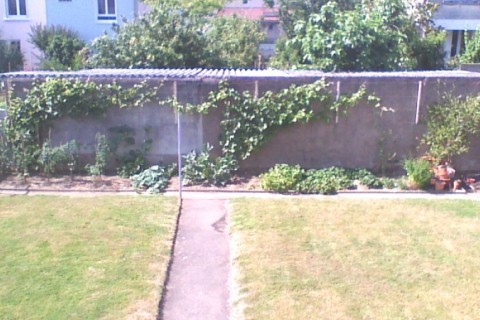 Charmante maison nantaise... — photo 11