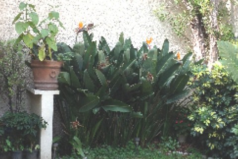 intercambio de casa sola en ciudad de Mexico , ciudad de los palacios !!! — photo 2