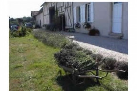 C'est un gite qui fait partie d'une... — photo 9