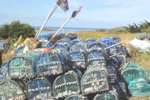 Maison familiale près des plages bretonnes — photo 10