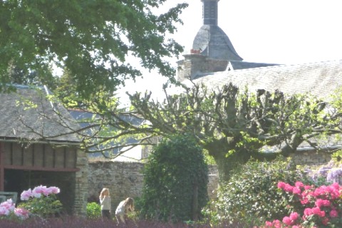 Superbe maison typique normande — photo 3