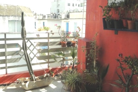 Bel appt au cœur de Tunis — photo 3
