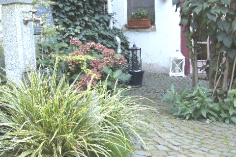 Ferme rénovée avec cour — photo 10