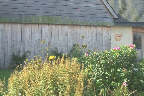 Maison écologique au coeur d'un grand verger — photo 14