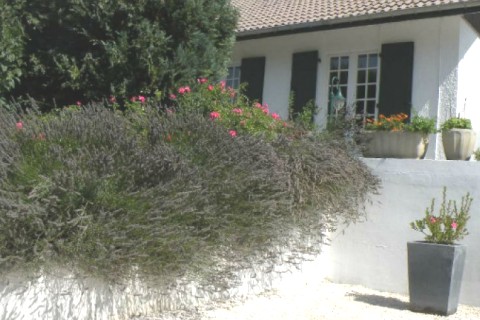 Belle maison entre Genève et Thonon — photo 8