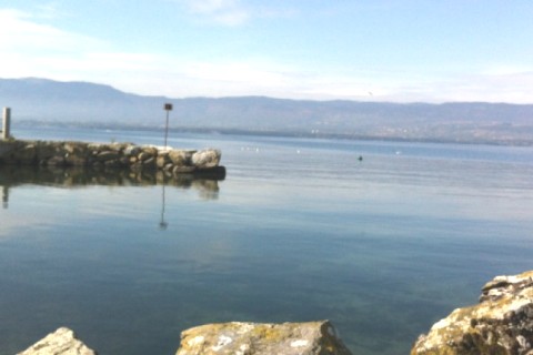 Belle maison entre Genève et Thonon — photo 12