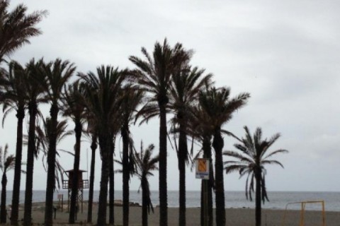 JUNTO A LA PLAYA, EN LA COSTA TROPICAL DE ANDALUCÍA, APARTAMENTO CON 3 DORMITORIOS — photo 7