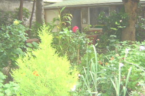 This is a charming 3 bedroom apartment - Paris — photo 15