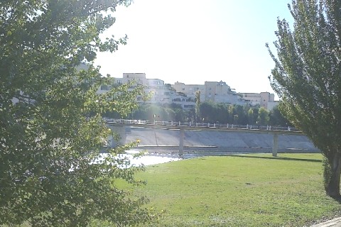 Bel appt à Montpellier — photo 3