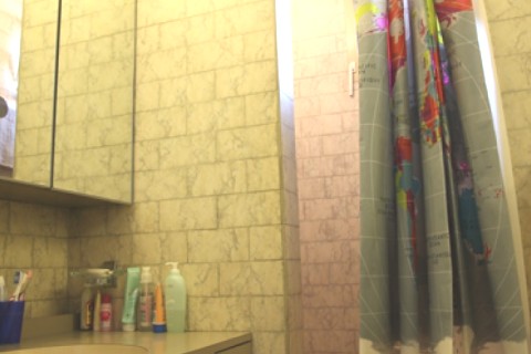 Appt parisien, Belleville / Ménilmontant — photo 5