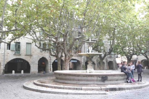 Appt ancien dans le Languedoc — photo 11