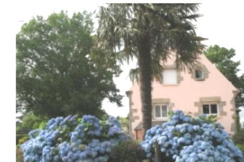 Very big and comfortable house — photo 2