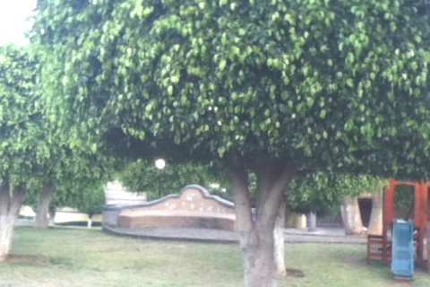 Maison au Mexique — photo 13