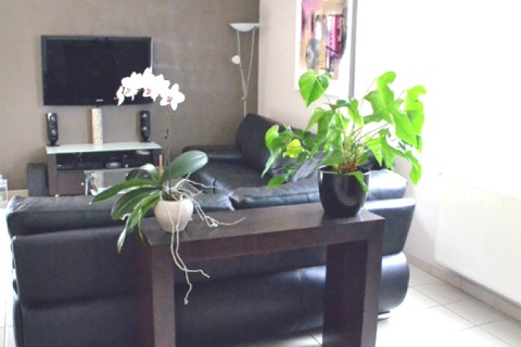 Maison individuelle dans residence — photo 6