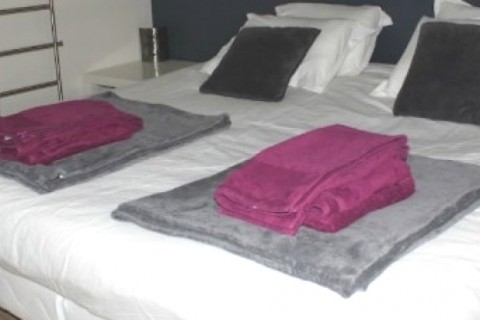Appt design au coeur de Lyon — photo 5