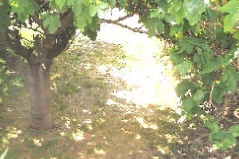 Appt en bas de villa, vue mer, idéal pour 4. — photo 6