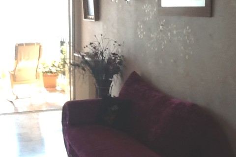 French Riviera — photo 8